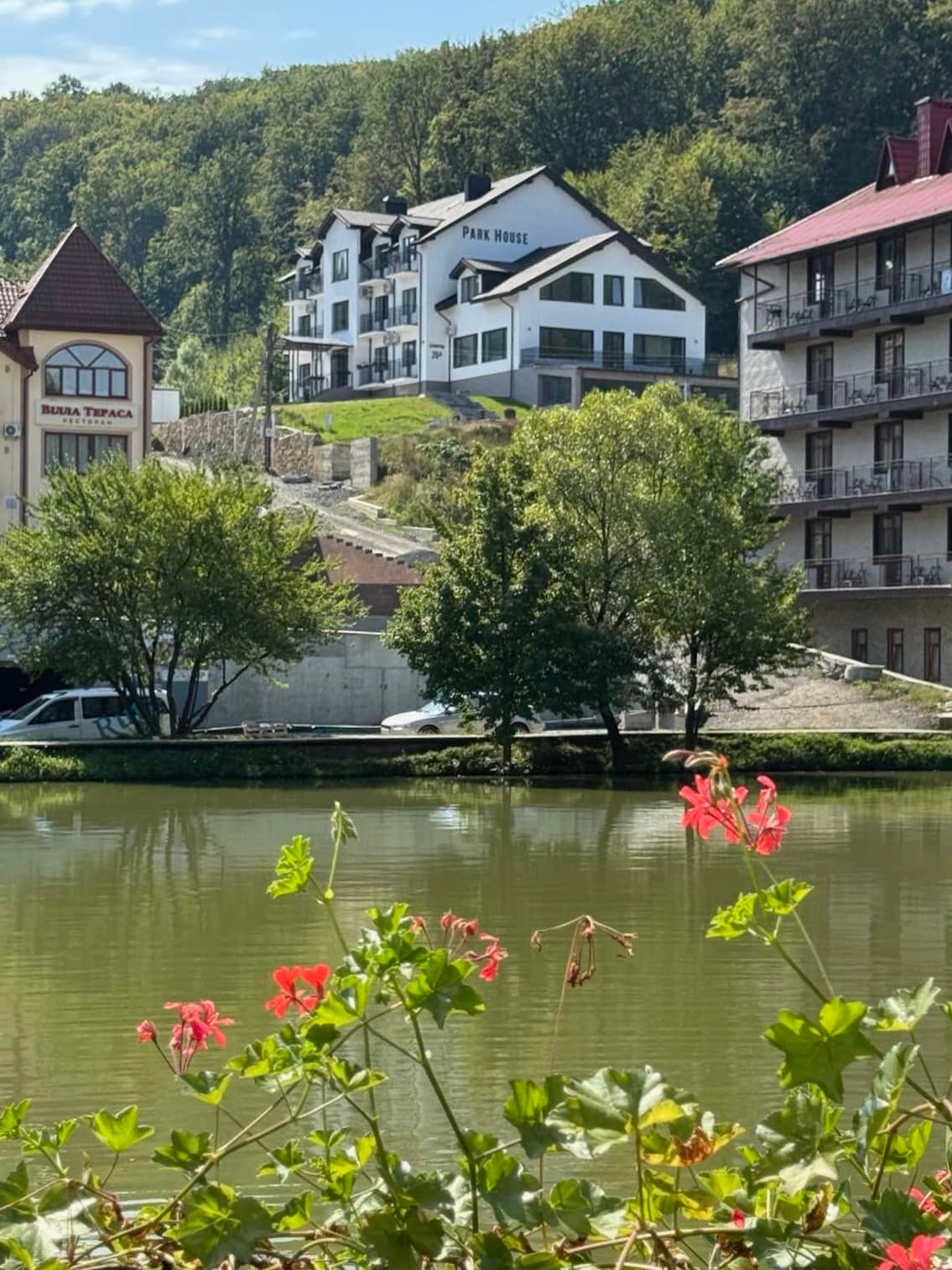 Поляна навесні